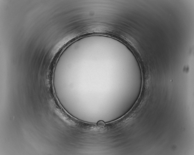 X0000111391026200907241329