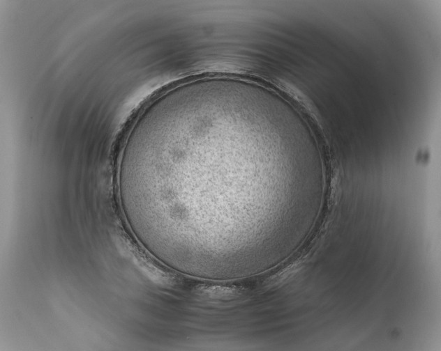 X0000111391027200907241329