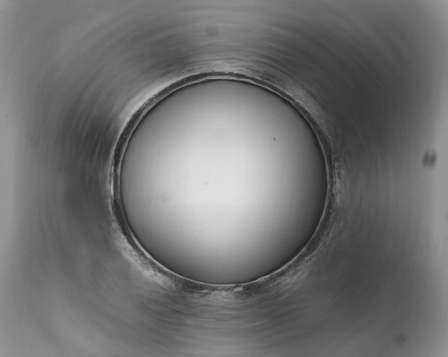 X0000111391028200907241329