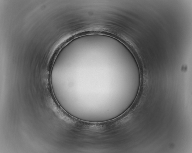 X0000111391029200907241329