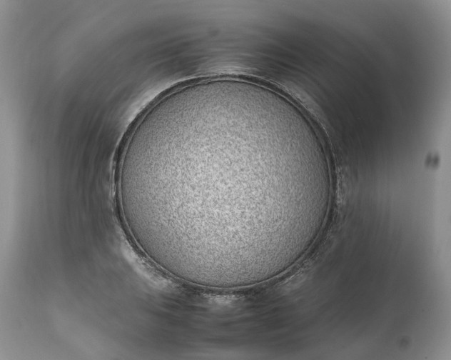 X0000111391031200907241329