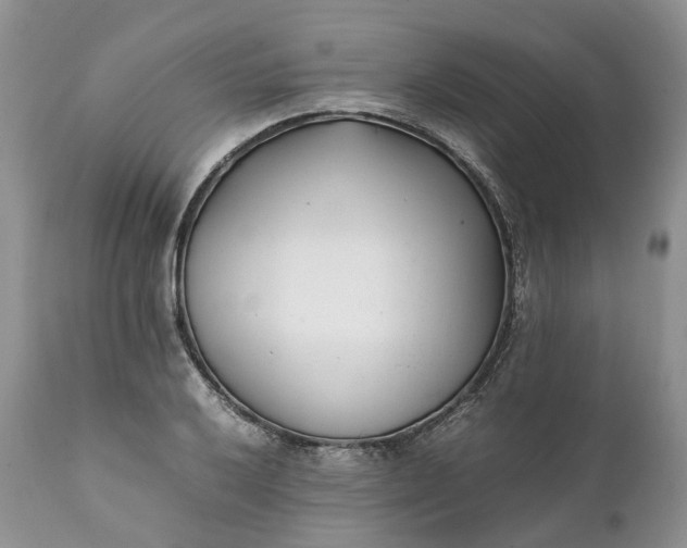 X0000111391032200907241329