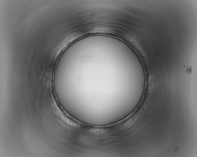 X0000111391033200907241329