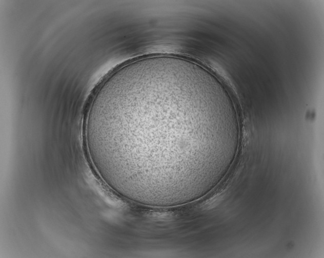 X0000111391035200907241329