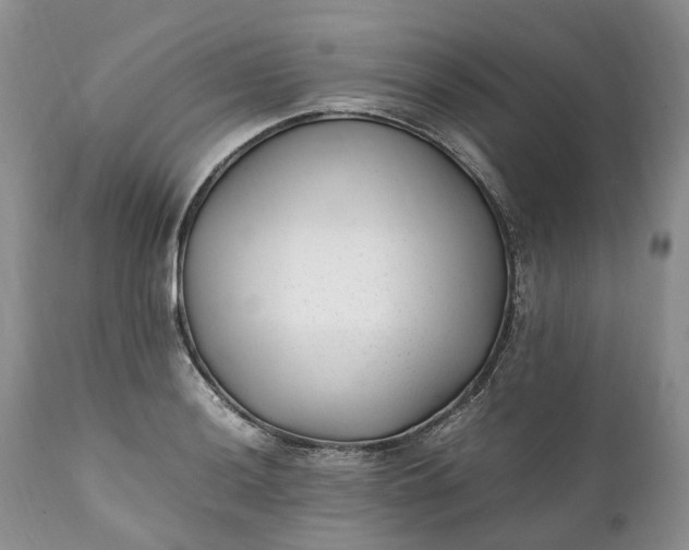 X0000111391036200907241329