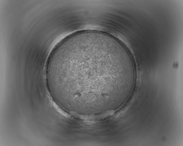 X0000111391037200907241329