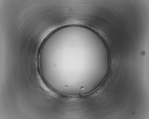 X0000111391038200907241329