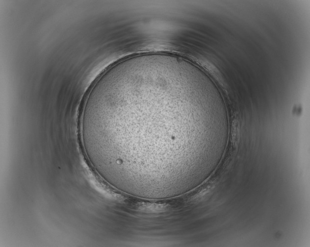 X0000111391039200907241329