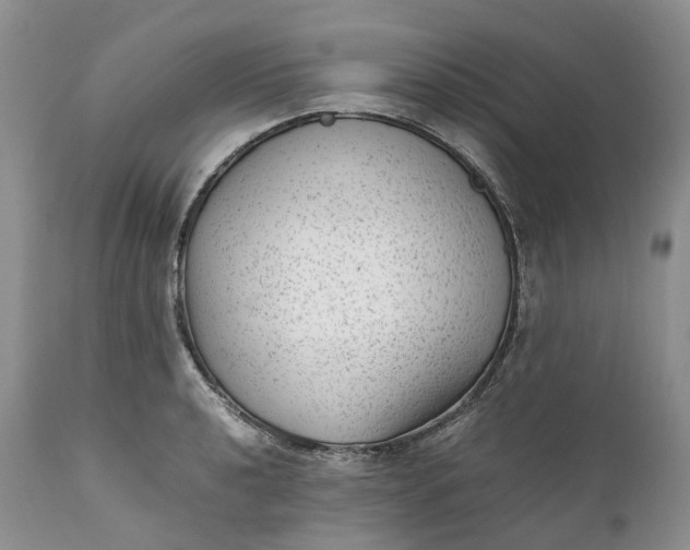 X0000111391040200907241329