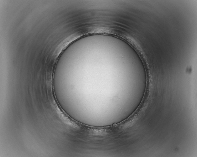 X0000111391041200907241329