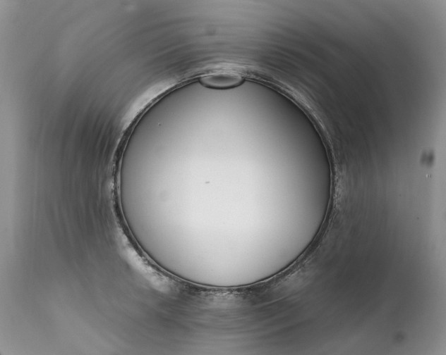 X0000111391042200907241329