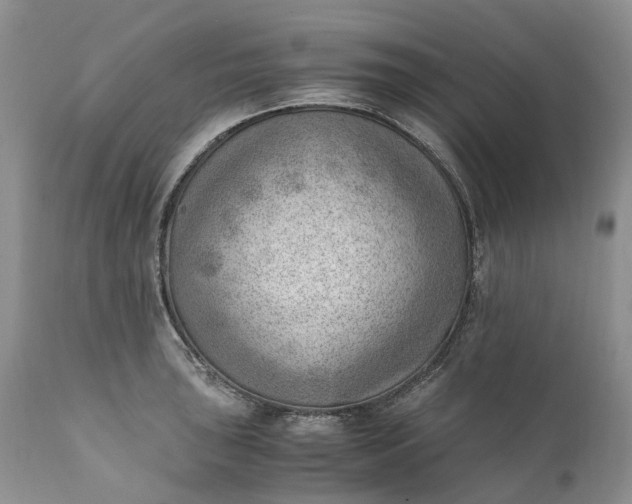 X0000111391043200907241329