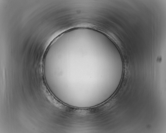 X0000111391044200907241329