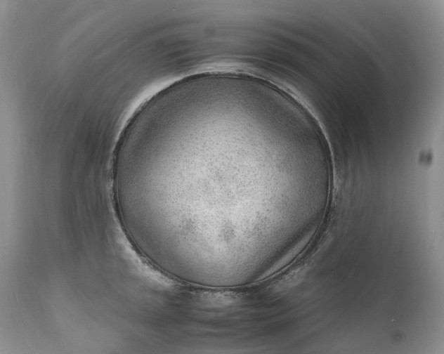 X0000111391045200907241329