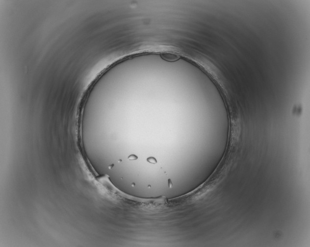 X0000111391046200907241329