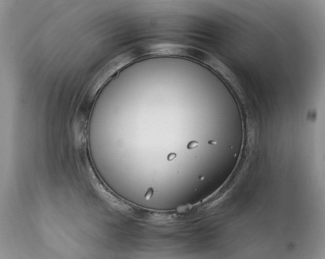 X0000111391049200907241329