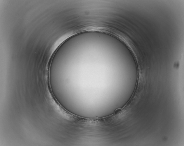 X0000111391050200907241329