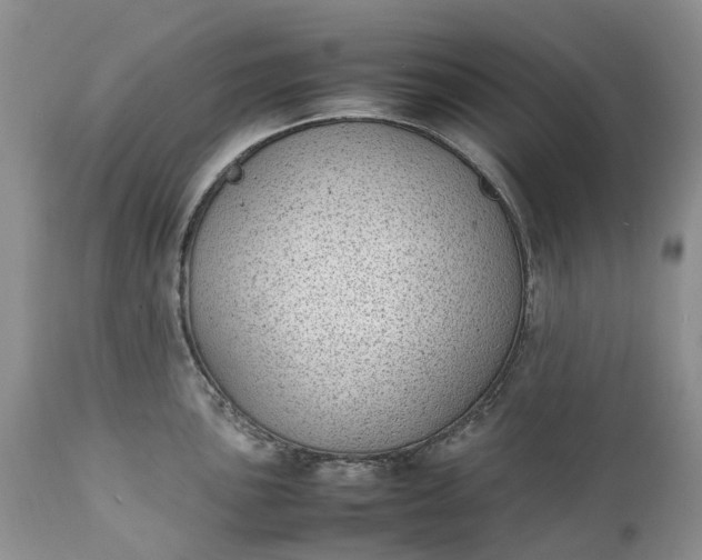 X0000111391051200907241329