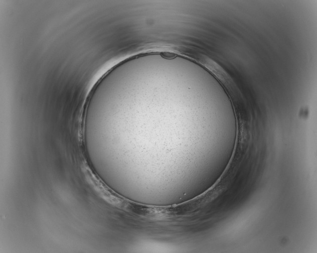 X0000111391052200907241329