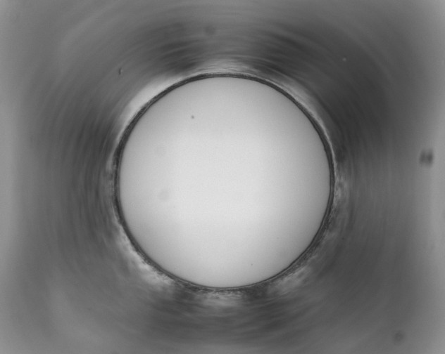 X0000111391053200907241329