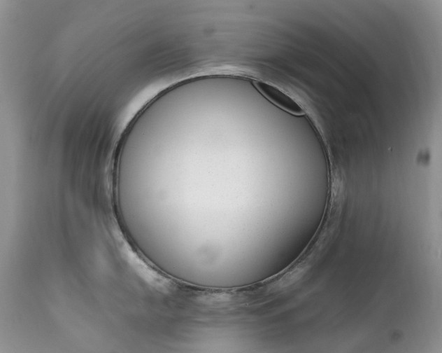 X0000111391054200907241329