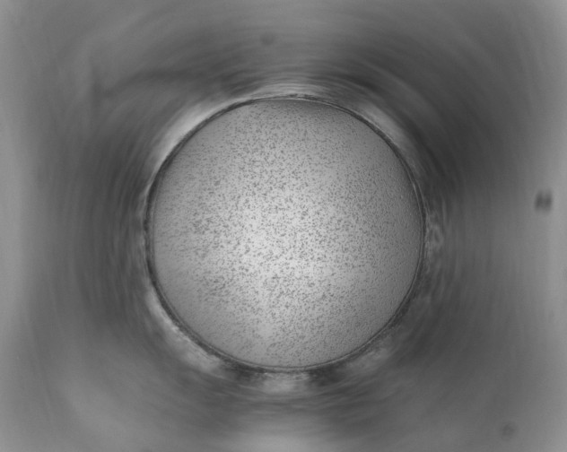 X0000111391055200907241329