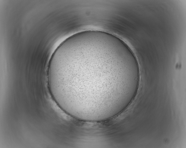 X0000111391056200907241329