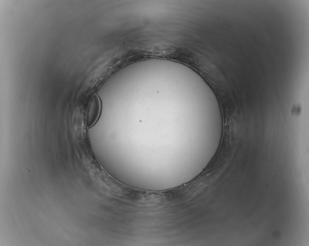 X0000111391058200907241329