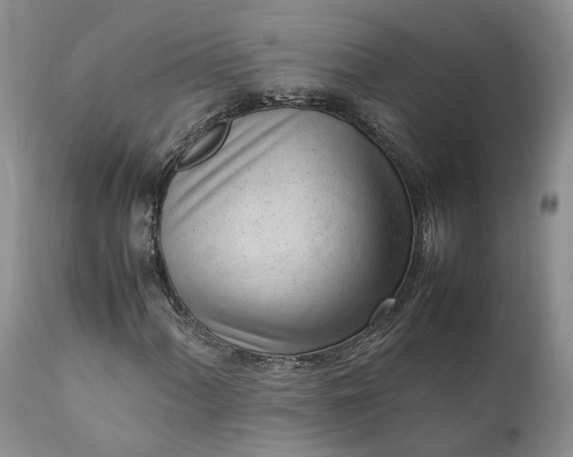 X0000111391060200907241329