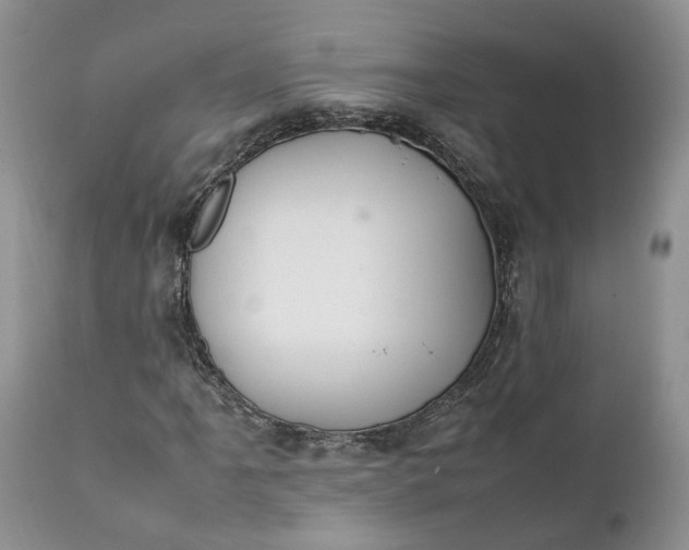 X0000111391061200907241329