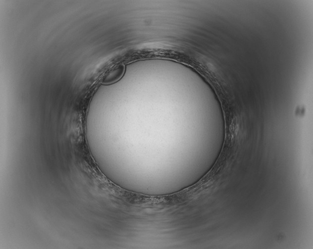 X0000111391062200907241329