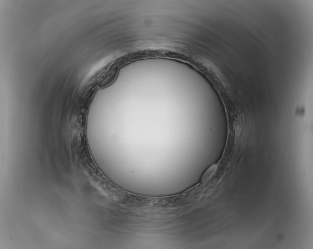 X0000111391064200907241329