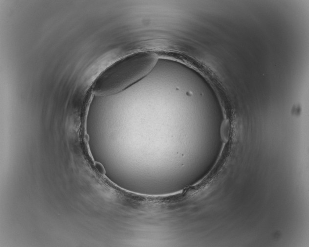 X0000111391065200907241329