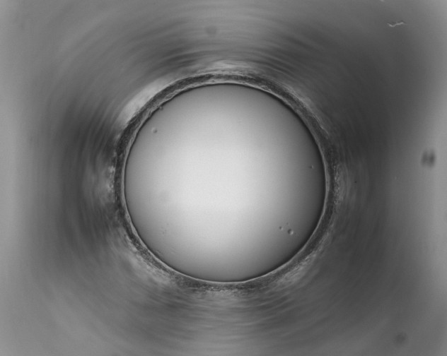 X0000111391066200907241329