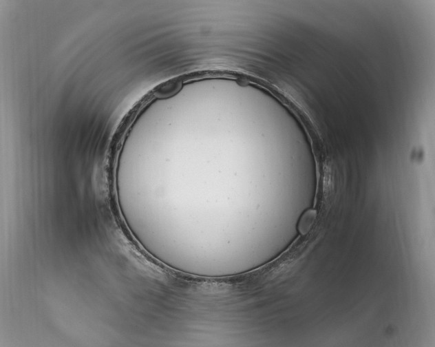 X0000111391068200907241328