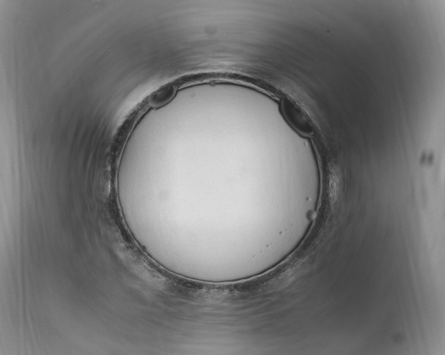 X0000111391069200907241328