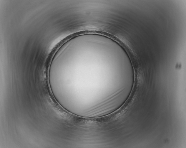 X0000111391070200907241328