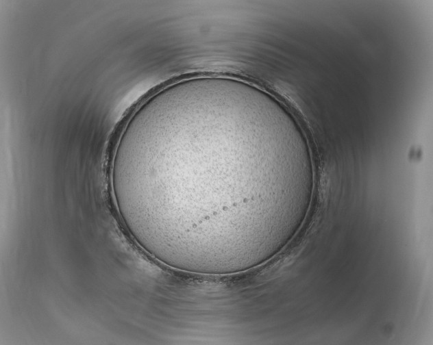 X0000111391071200907241328