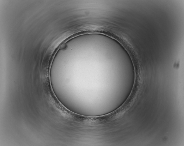 X0000111391073200907241328