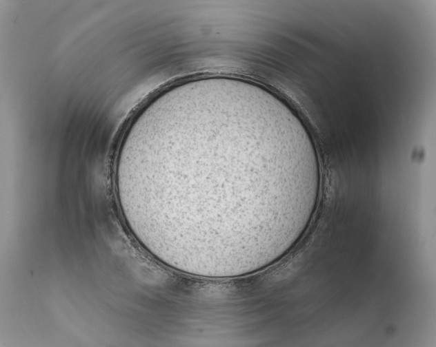 X0000111391074200907241328