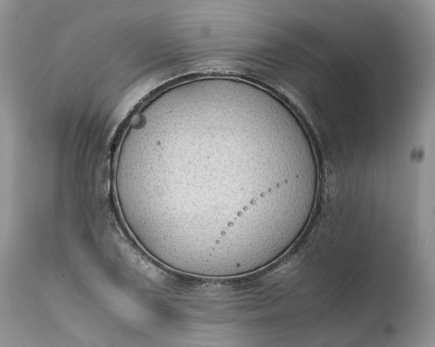 X0000111391075200907241328