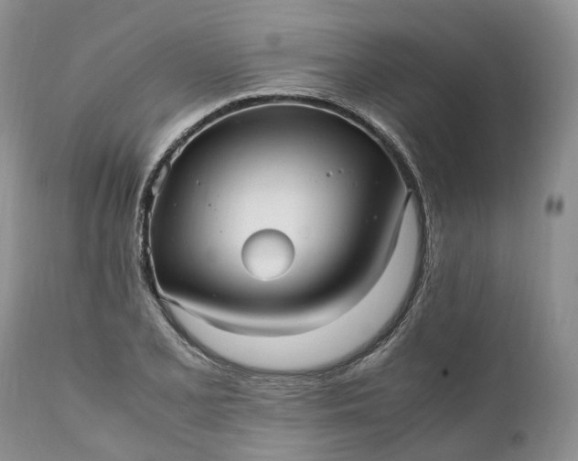 X0000111391077200907241328