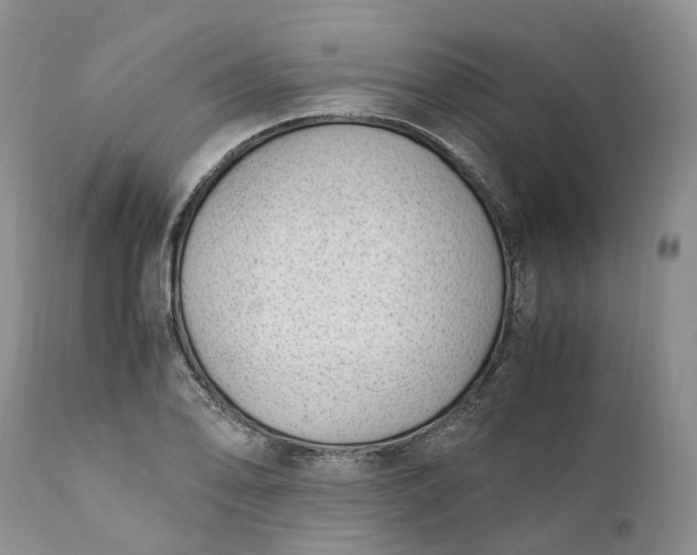 X0000111391078200907241328