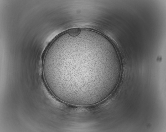 X0000111391079200907241328