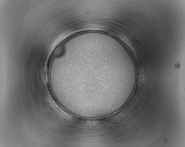 X0000111391080200907241328