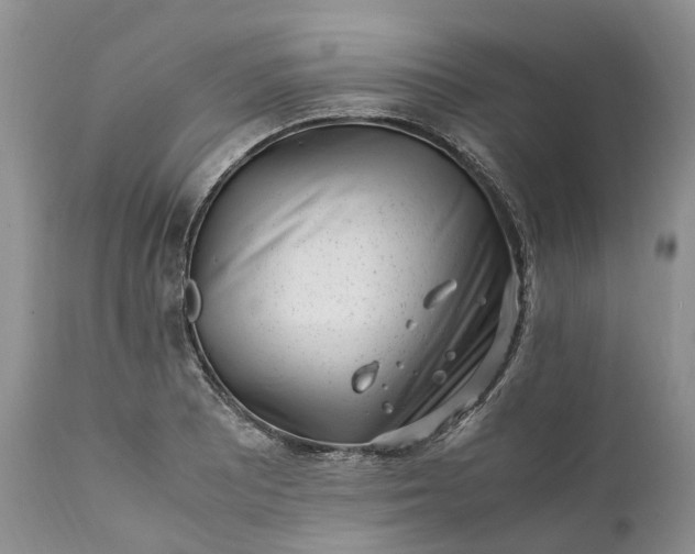 X0000111391081200907241328