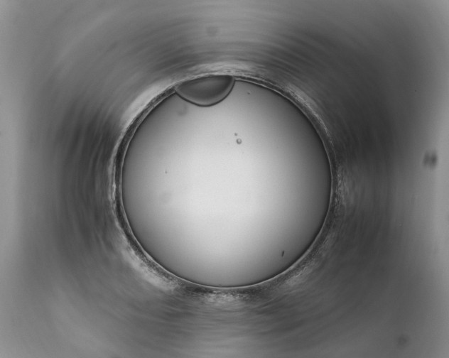 X0000111391082200907241328