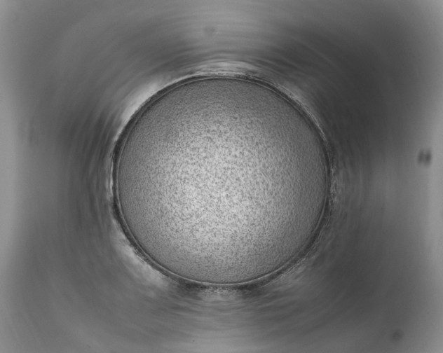 X0000111391083200907241328