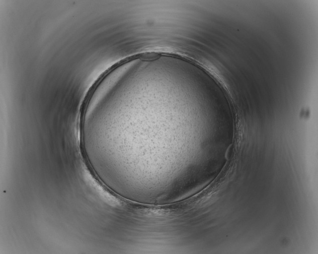 X0000111391084200907241328