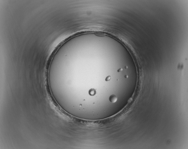 X0000111391085200907241328